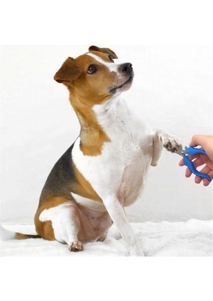 Evcil Hayvan Kedi ve Köpek Paslanmaz Çelik Yaylı Tırnak Makası ve Düzeltme fırsatları