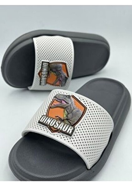 Anatomik Taban Kaydırmaz Taban Havuz Deniz Ev Sokak Çocuk Terlik(Dinazor Desenli)