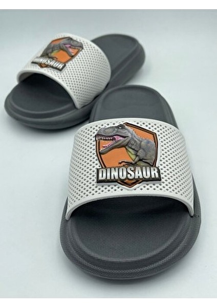 Anatomik Taban Kaydırmaz Taban Havuz Deniz Ev Sokak Çocuk Terlik(Dinazor Desenli) fiyatları