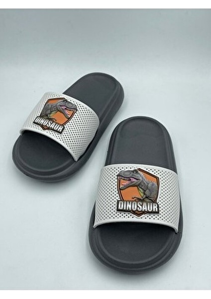 Anatomik Taban Kaydırmaz Taban Havuz Deniz Ev Sokak Çocuk Terlik(Dinazor Desenli) modelleri