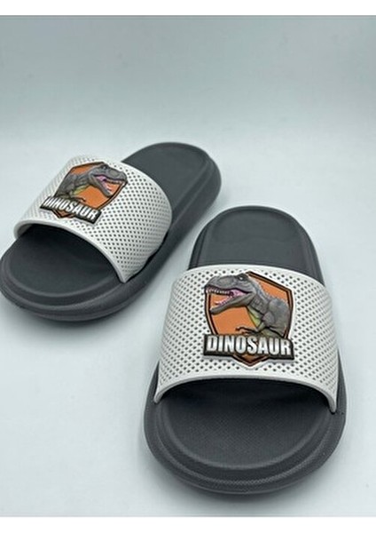 Anatomik Taban Kaydırmaz Taban Havuz Deniz Ev Sokak Çocuk Terlik(Dinazor Desenli) fırsatları