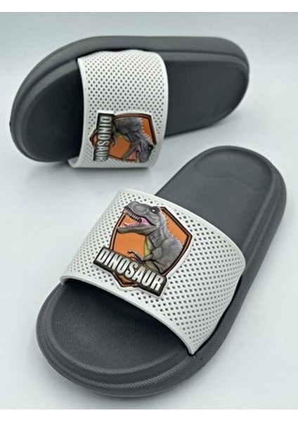 Anatomik Taban Kaydırmaz Taban Havuz Deniz Ev Sokak Çocuk Terlik(Dinazor Desenli) indirimleri