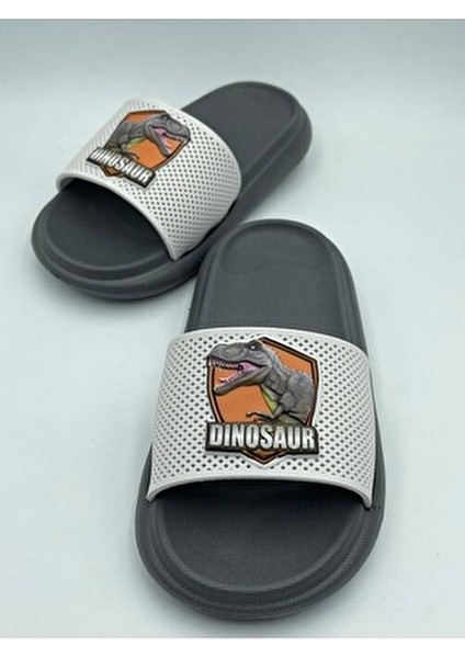 Anatomik Taban Kaydırmaz Taban Havuz Deniz Ev Sokak Çocuk Terlik(Dinazor Desenli)