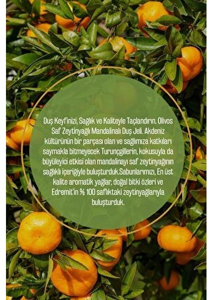 Doğal Zeytinyağlı Mandalina Kokulu Banyo Duş Jeli Zeytinyağı Mandalinalı Nemlendirici 2 Adet 750ML fiyatları