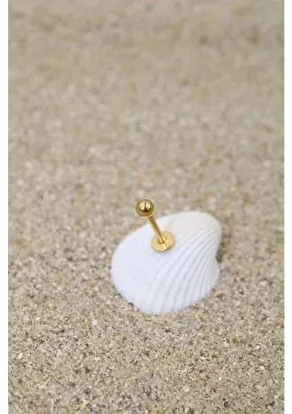 Piercing Cerrahi Çelik Piercing Kıkırdak Tragus Conch Helix Gold Renk Top Çap 3 mm Labret