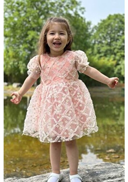 Kız Bebek Elbise Kız Çocuk Elbise Doğum Günü Parti Düğün Elbise Dantelli Kısa Kol astarlı elbise fiyatları