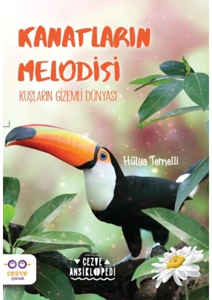 kanatların melodisi - kuşların dünyası