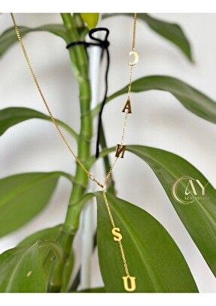 Kişiye Özel Y Model Isim Kolye 925 Ayar 22K Kaplama