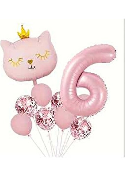 Pembe Kedi Yaş Balonlu Balon Set