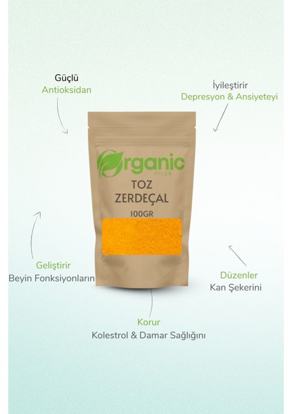 Toz Zerdeçal Taze Öğütülmüş 100GR (Curcuma Longa) Katkısız - Yeni Mahsul fiyatları