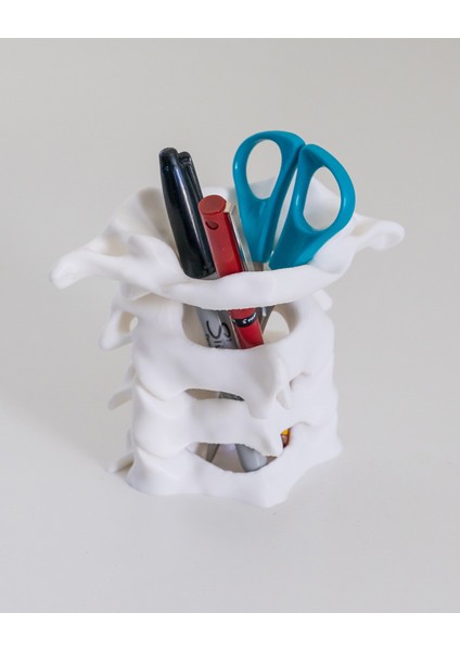 Omurga Iskelet Kalemlik