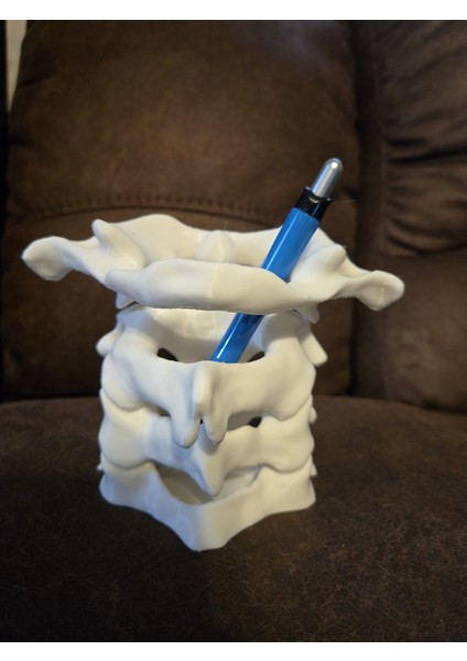 Omurga Iskelet Kalemlik fiyatları