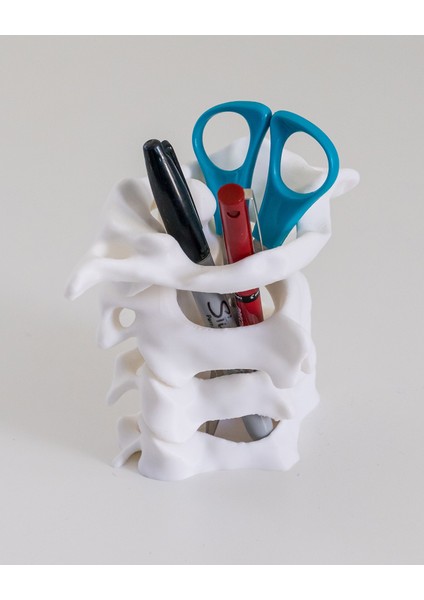 Omurga Iskelet Kalemlik modelleri