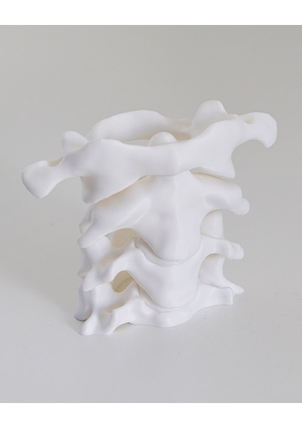 Omurga Iskelet Kalemlik fırsatları