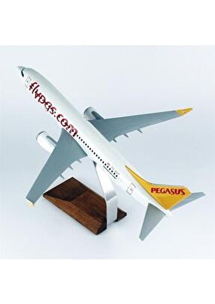 1/100 Ölçek, Pegasus B737-800 Yolcu Uçağı, Sergilemeye Hazır Ahşap Standlı Model modelleri