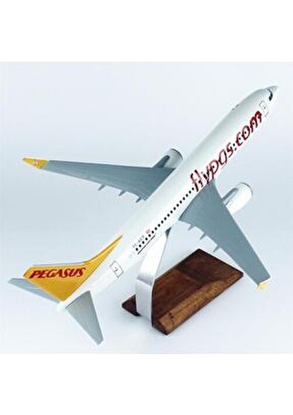 1/100 Ölçek, Pegasus B737-800 Yolcu Uçağı, Sergilemeye Hazır Ahşap Standlı Model fırsatları