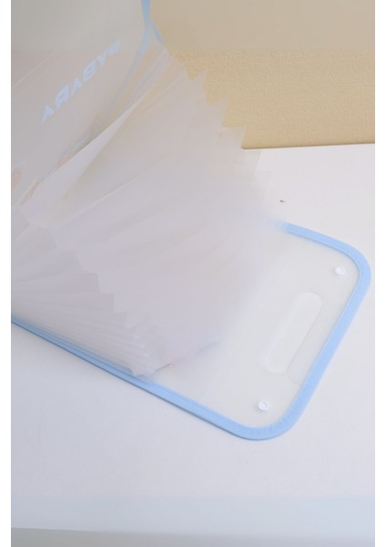 Capybara Akordiyon Dosyalık modelleri