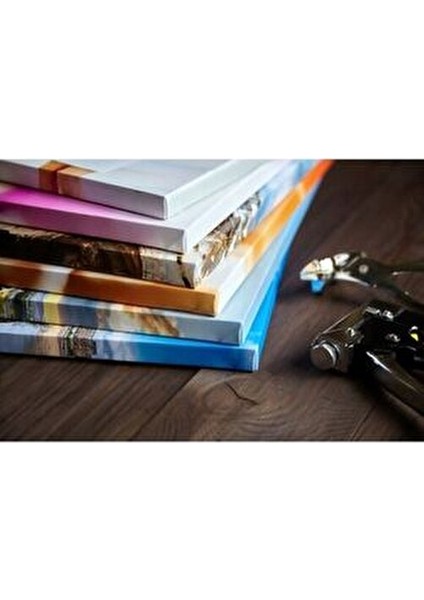 Orange Blossom Dekoratif Kanvas Duvar Tablo modelleri