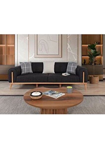 Leon Koltuk Takımı Antrasit 3+3+1 indirimleri