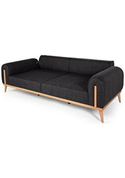 Leon Koltuk Takımı Antrasit 3+3+1