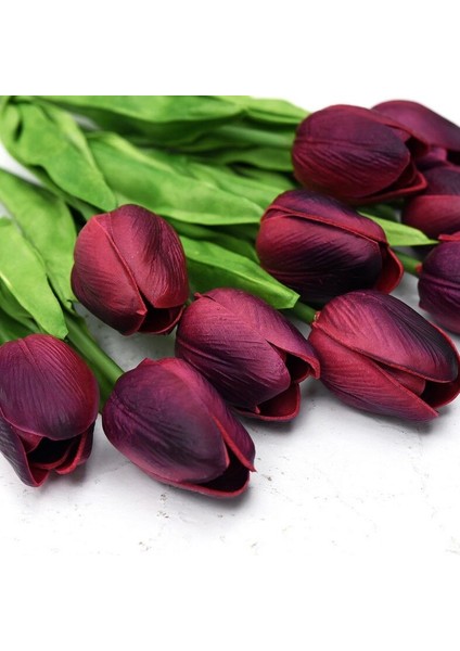 Ithal Özel Pink Dolphin Lale Soğanı Iri Kafa Özel Lale Soğanı (4 Soğan)