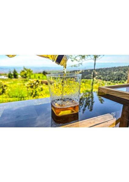 Plastik Viski Bardağı 10 Adet - Kare Tabanlı Sert Plastik Bardak fiyatları