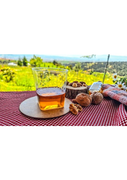 Plastik Viski Bardağı 10 Adet - Kare Tabanlı Sert Plastik Bardak modelleri