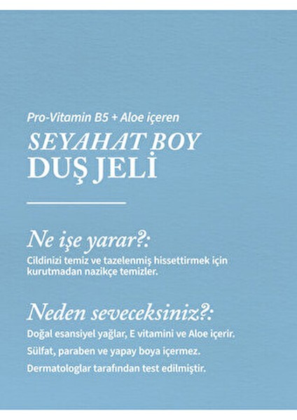 Into The Night Seyahat Boyu Vücut Şampuanı 88 ml fiyatları