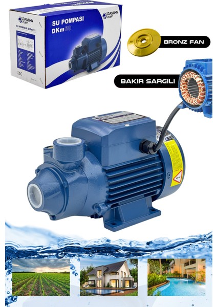 Dayuan DKM60 Bakır Sargılı 0,37KW 0,5hp Su Pompası