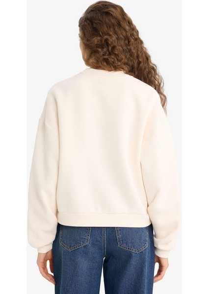 Regular Fit Bisiklet Yaka Baskılı Sweatshirt E9502AX25WN