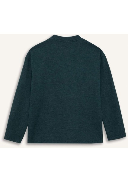 Relax Fit Bisiklet Yaka Sweatshirt F1013AX25AU
