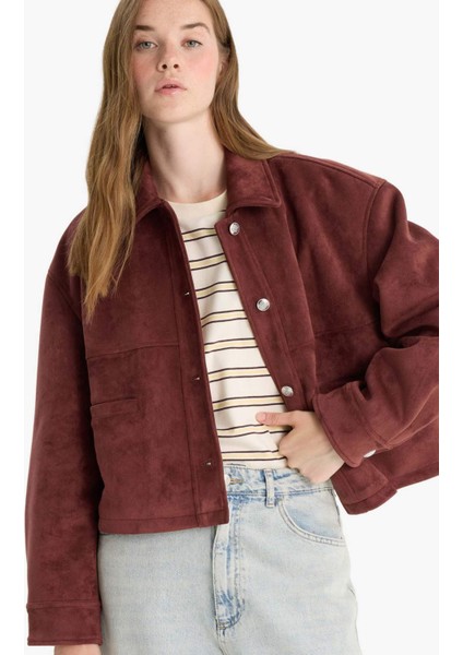 Regular Fit Polo Yaka Süet Mont F2815AX25WN modelleri