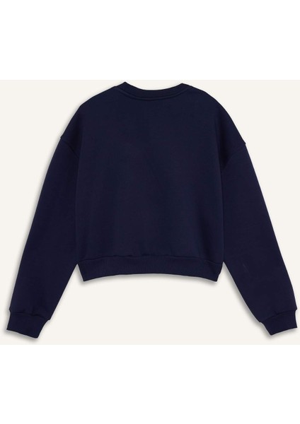 Boxy Fit Bisiklet Yaka İşlemeli Kalın Sweatshirt G2153AX25WN modelleri