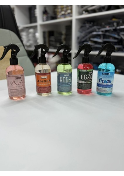 Oto Kokusu Sprey Koku 250 ml fiyatları