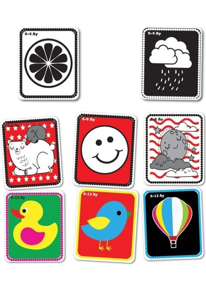 Nessiworld 1369 F.cards Bebeğimin Ilk Zeka Kartları fiyatları