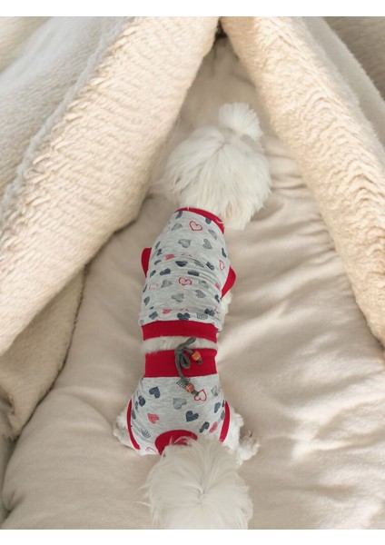 Dişi Köpek Regl Külodu ve Tshirt Takımı – Ayarlanabilir, Yıkanabilir, Hijyenik Köpek Külodu