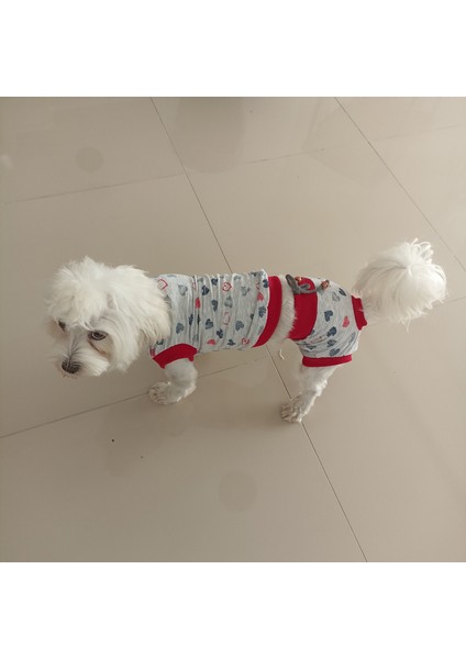 Dişi Köpek Regl Külodu ve Tshirt Takımı – Ayarlanabilir, Yıkanabilir, Hijyenik Köpek Külodu fiyatları
