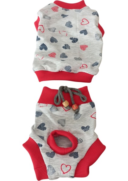 Dişi Köpek Regl Külodu ve Tshirt Takımı – Ayarlanabilir, Yıkanabilir, Hijyenik Köpek Külodu modelleri