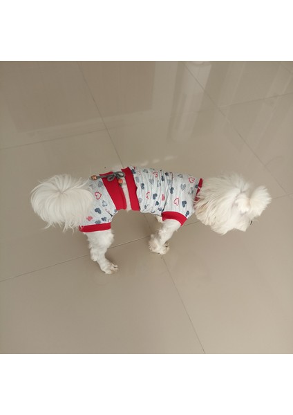 Dişi Köpek Regl Külodu ve Tshirt Takımı – Ayarlanabilir, Yıkanabilir, Hijyenik Köpek Külodu indirimleri