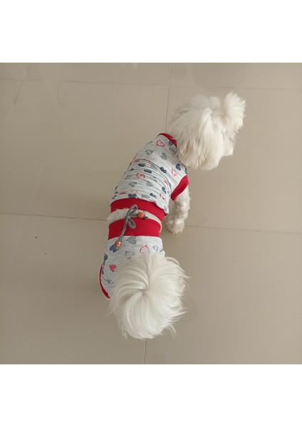 Dişi Köpek Regl Külodu ve Tshirt Takımı – Ayarlanabilir, Yıkanabilir, Hijyenik Köpek Külodu