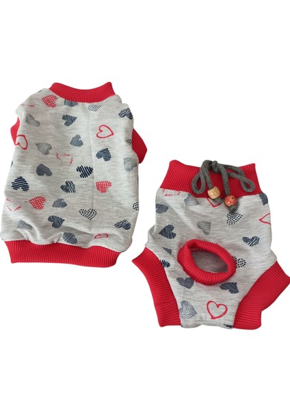 Dişi Köpek Regl Külodu ve Tshirt Takımı – Ayarlanabilir, Yıkanabilir, Hijyenik Köpek Külodu