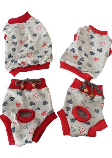 Dişi Köpek Regl Külodu ve Tshirt Takımı – Ayarlanabilir, Yıkanabilir, Hijyenik Köpek Külodu