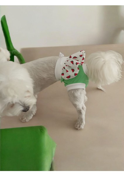 Dişi Köpek Regl Külodu – Ayarlanabilir, Yıkanabilir, Hijyenik Köpek Külodu