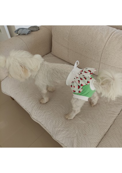 Dişi Köpek Regl Külodu – Ayarlanabilir, Yıkanabilir, Hijyenik Köpek Külodu fiyatları