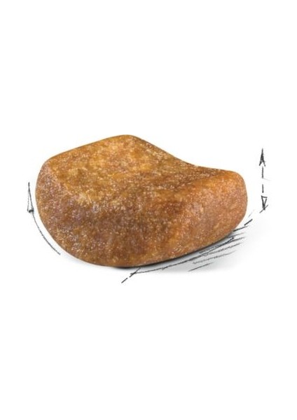 British Shorthair Yetişkin Kedi Maması 400 gr x 2 Adet modelleri