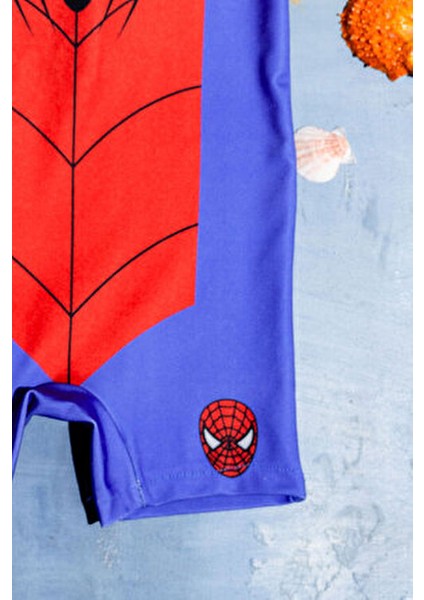 Baskılı Boneli Erkek Çocuk Yüzücü Mayosu fiyatları