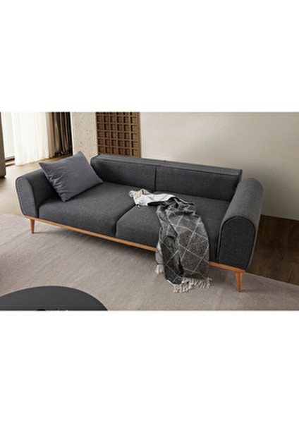 Rebull 3+3 Koltuk Takımı Antrasit fırsatları