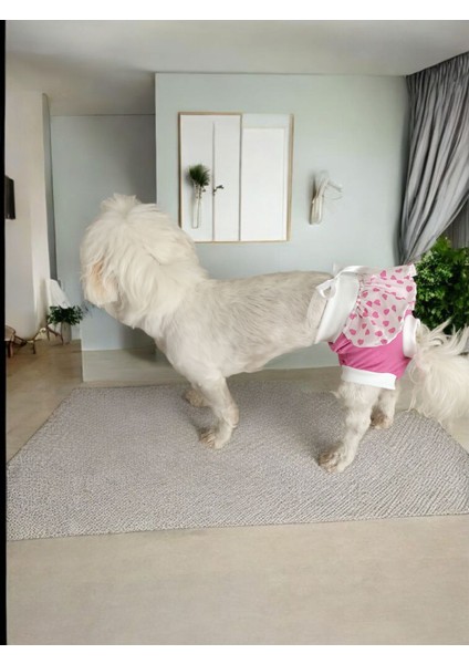 Dişi Köpek Regl Külodu – Ayarlanabilir, Yıkanabilir, Hijyenik Köpek Külodu