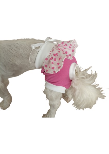 Dişi Köpek Regl Külodu – Ayarlanabilir, Yıkanabilir, Hijyenik Köpek Külodu indirimleri