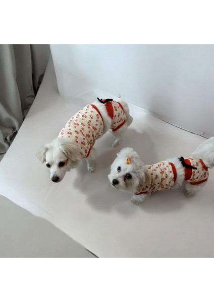 Dişi Köpek Regl Külodu ve Tshirt Takımı – Ayarlanabilir, Yıkanabilir, Hijyenik Köpek Külodu